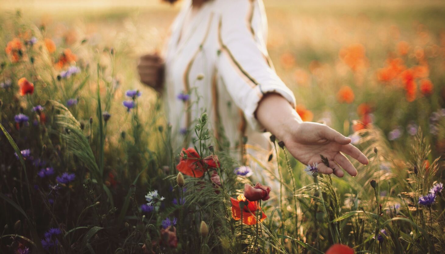 Earthing: What it’s, why some imagine it’s good to your well being
