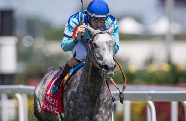 Entrance-running Dalika upsets Beverly D. in sport vogue
