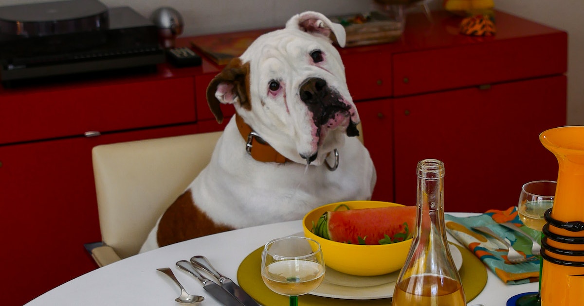 SIMONMILLER’s Casa Jus Wine Is The Newest Should-Have From The Style-Lady Favourite