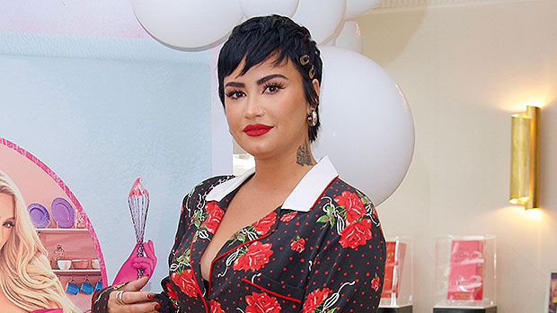Demi Lovato On Relationship Older Males In New Interview: Video – Hollywood Life