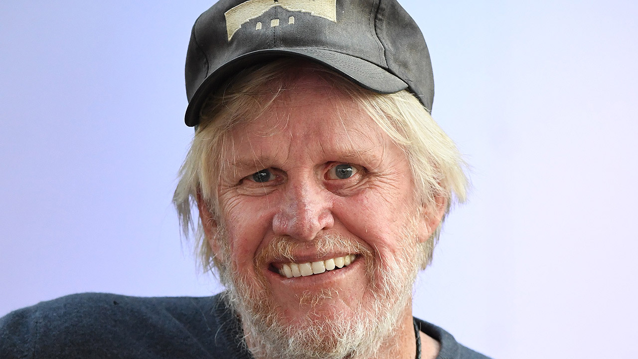 Gary Busey faces intercourse expenses in New Jersey