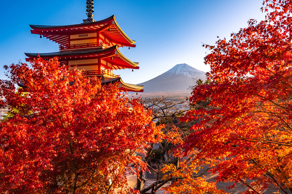 When Can I Journey to Japan? Pre-Arrival Journey Checks May Quickly Be Ditched When Can I Journey to Japan? Pre-Arrival Journey Checks May Quickly Be Ditched