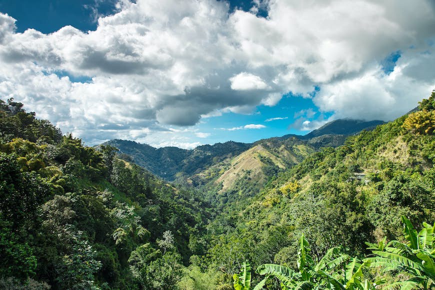 Finest hikes in Jamaica – Lonely Planet