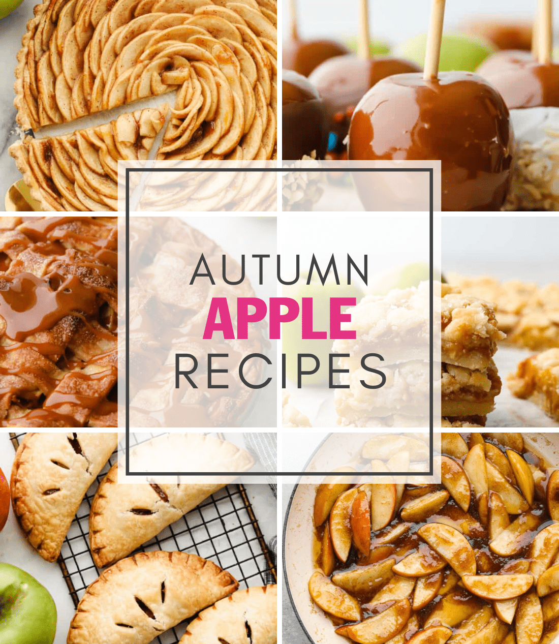 Autumn Apple Recipes | The Recipe Critic