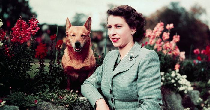 Remembering Queen Elizabeth II’s Most Historic Model Moments