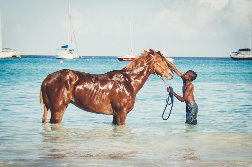11 greatest issues to do in Barbados