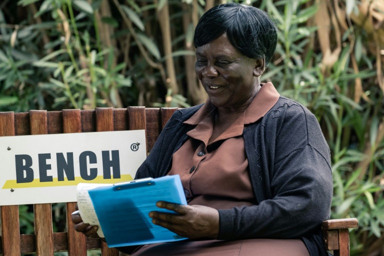 Zimbabwe’s ‘Psychological Well being Benches’ Exported To The World Cup