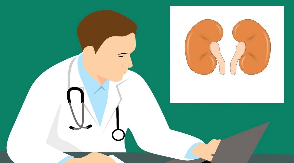 What a kidney donor must know