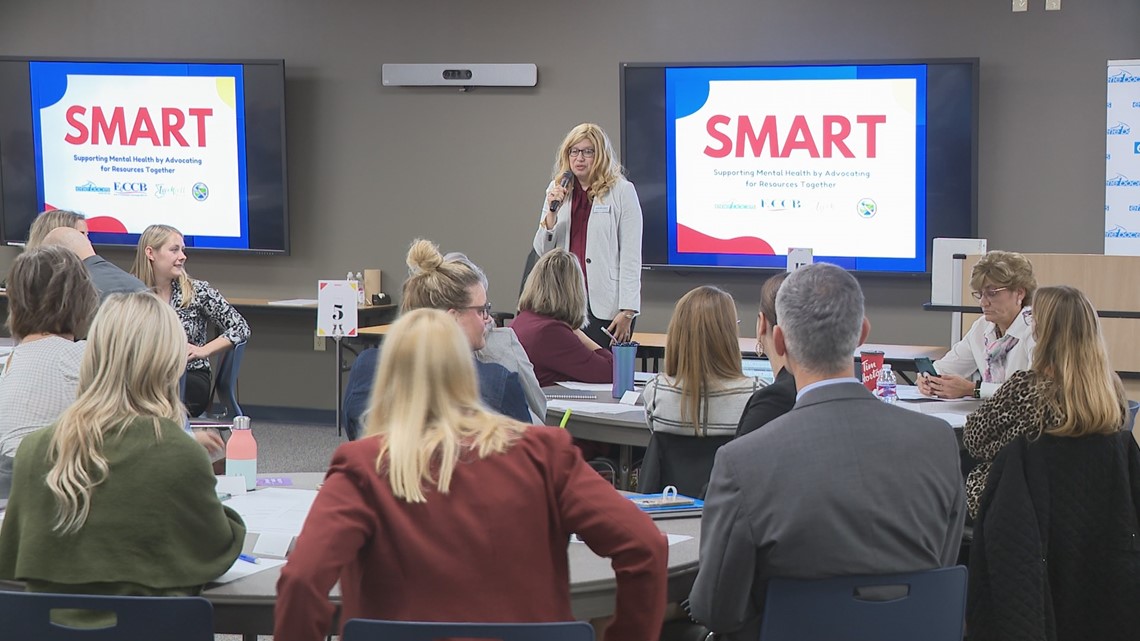 Educators and psychological well being advocates crew as much as assist college students