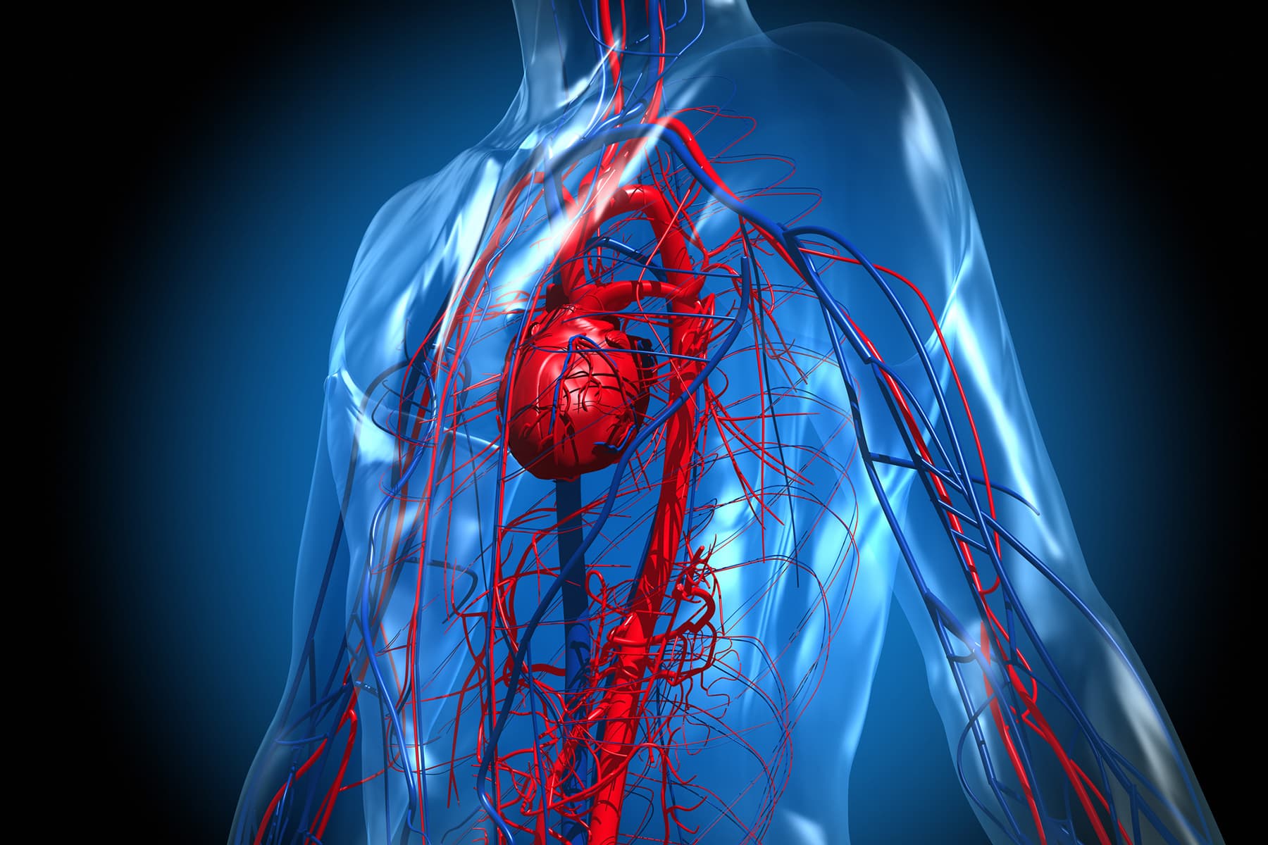 Myocarditis After COVID Vaccine Nonetheless Uncommon, However Dangers Stay Myocarditis After COVID Vaccine Nonetheless Uncommon, However Dangers Stay