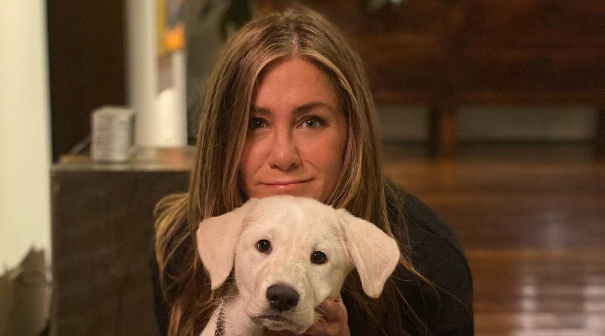 Jennifer Aniston displays on failed being pregnant makes an attempt: ‘I’ve zero regrets’