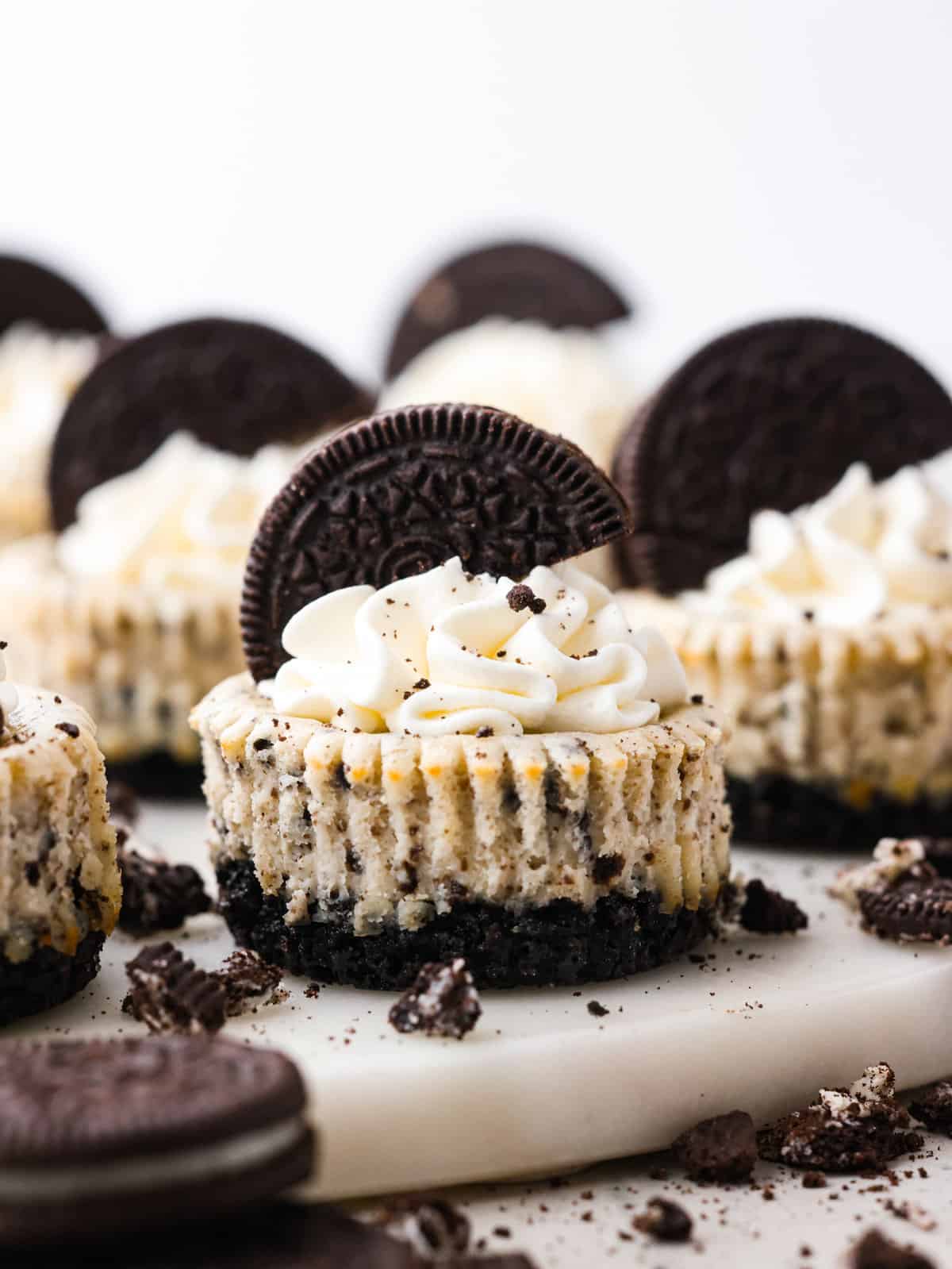 Oreo Cheesecake Bites | The Recipe Critic