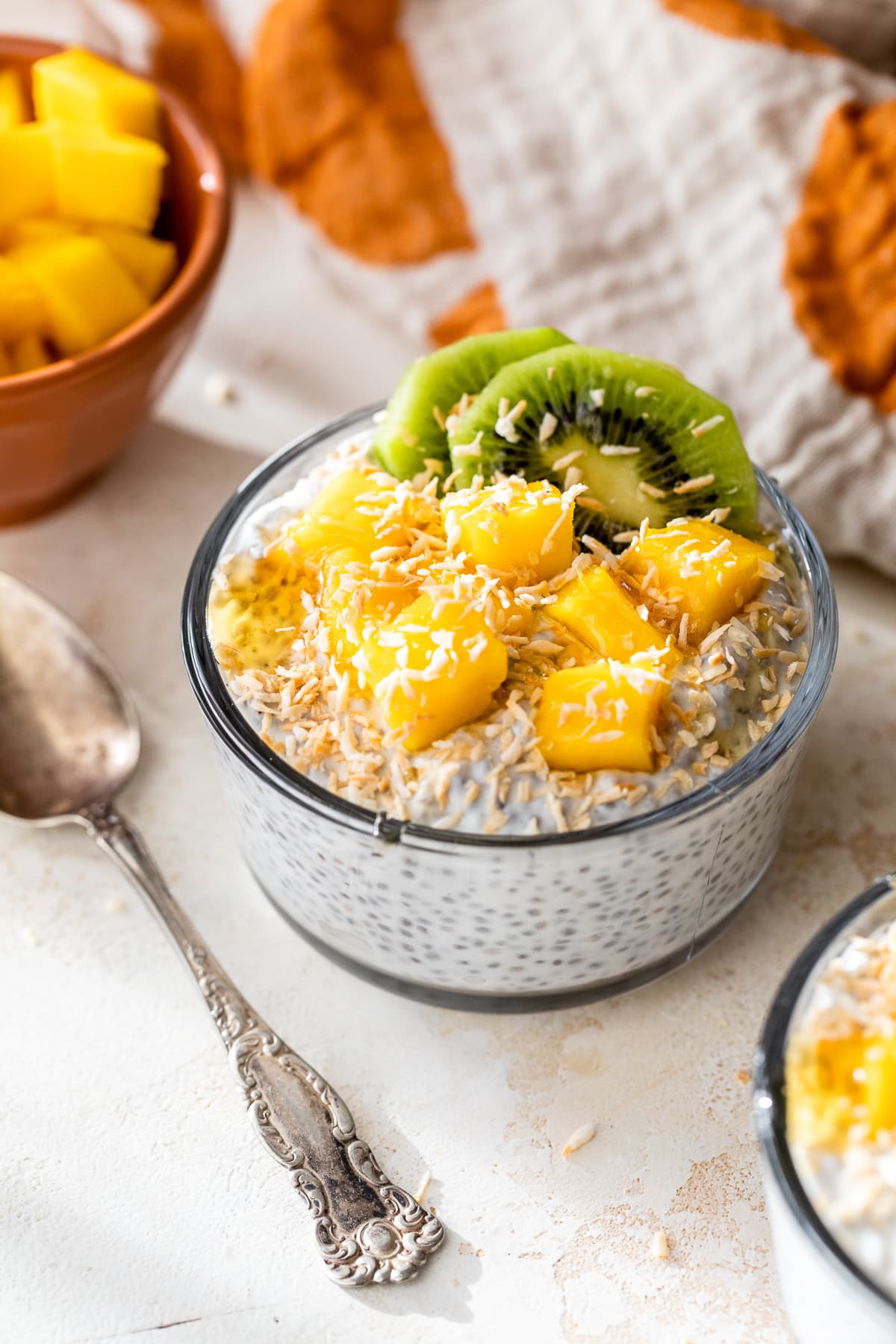 Tropical Chia Pudding Breakfast Bowl (Excessive Protein)
