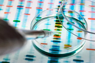 Misconceptions About Genomic Exams