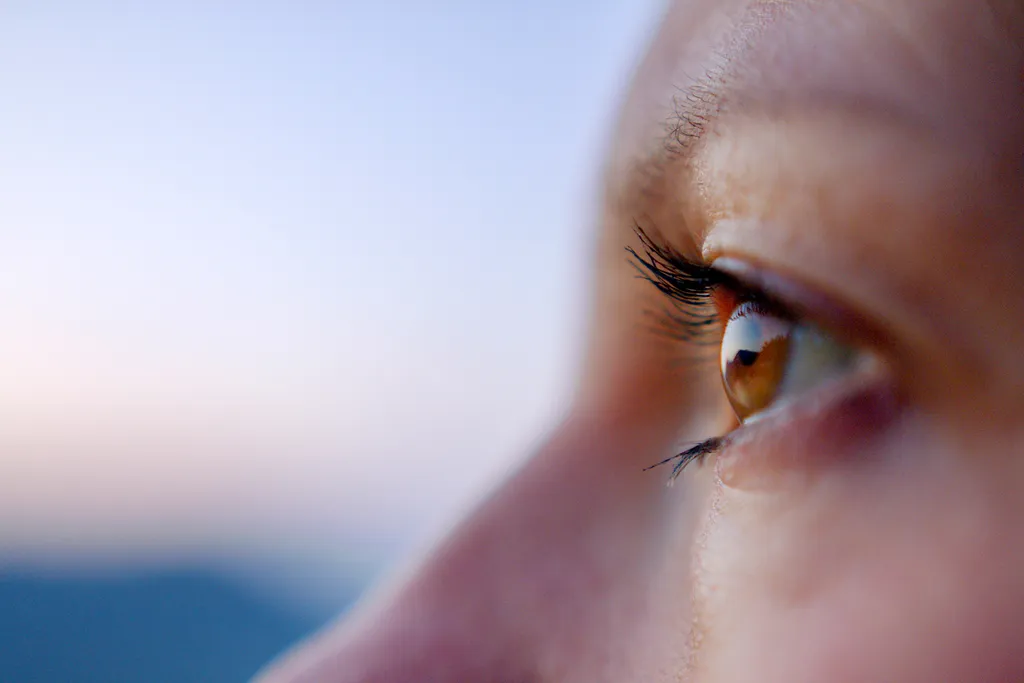 Defending Your Eyes and Ears Through the Summertime