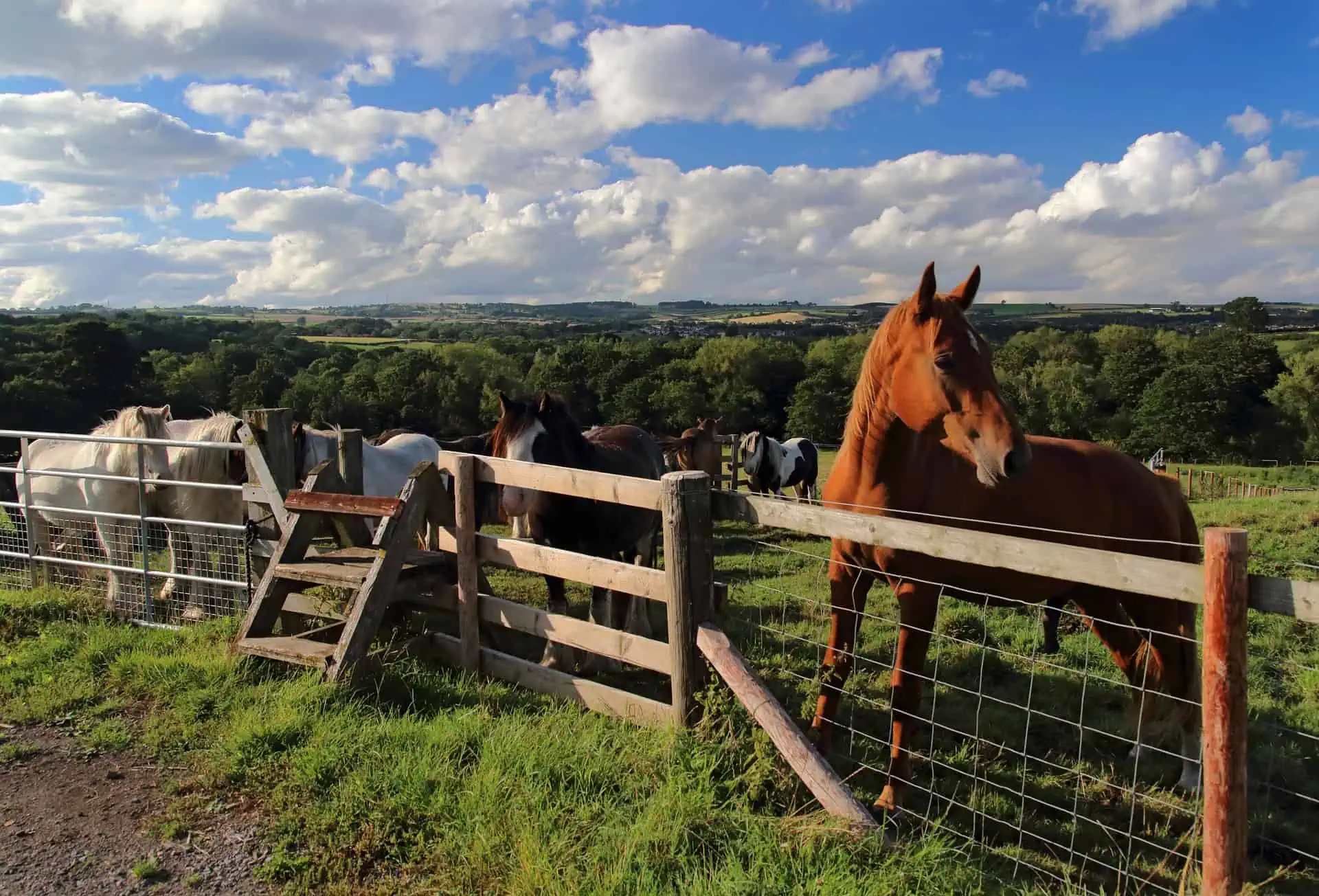High Locations for Horse Driving within the UK