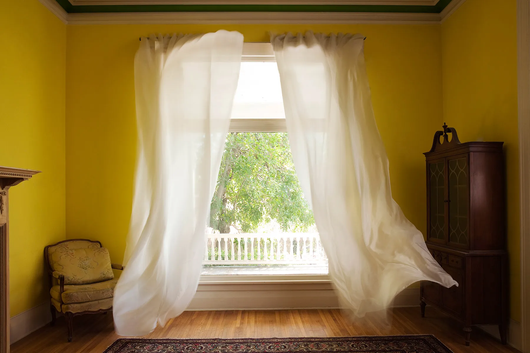 Clear Air Suggestions for Your House
