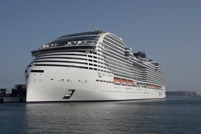 When cruise ships are too loud, wildlife is affected