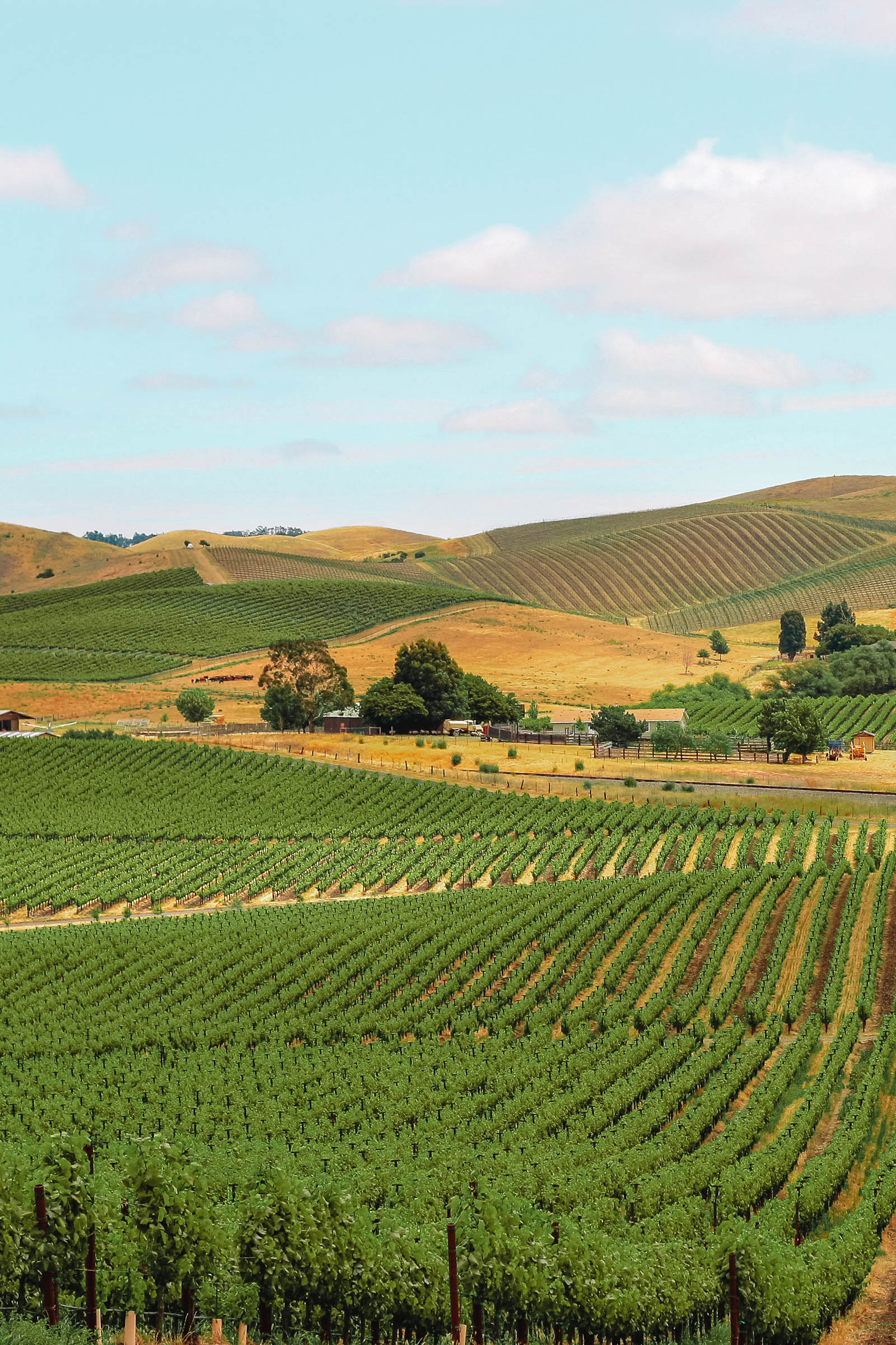 11 Greatest Issues To Do In Napa Valley, California – Hand Baggage Solely