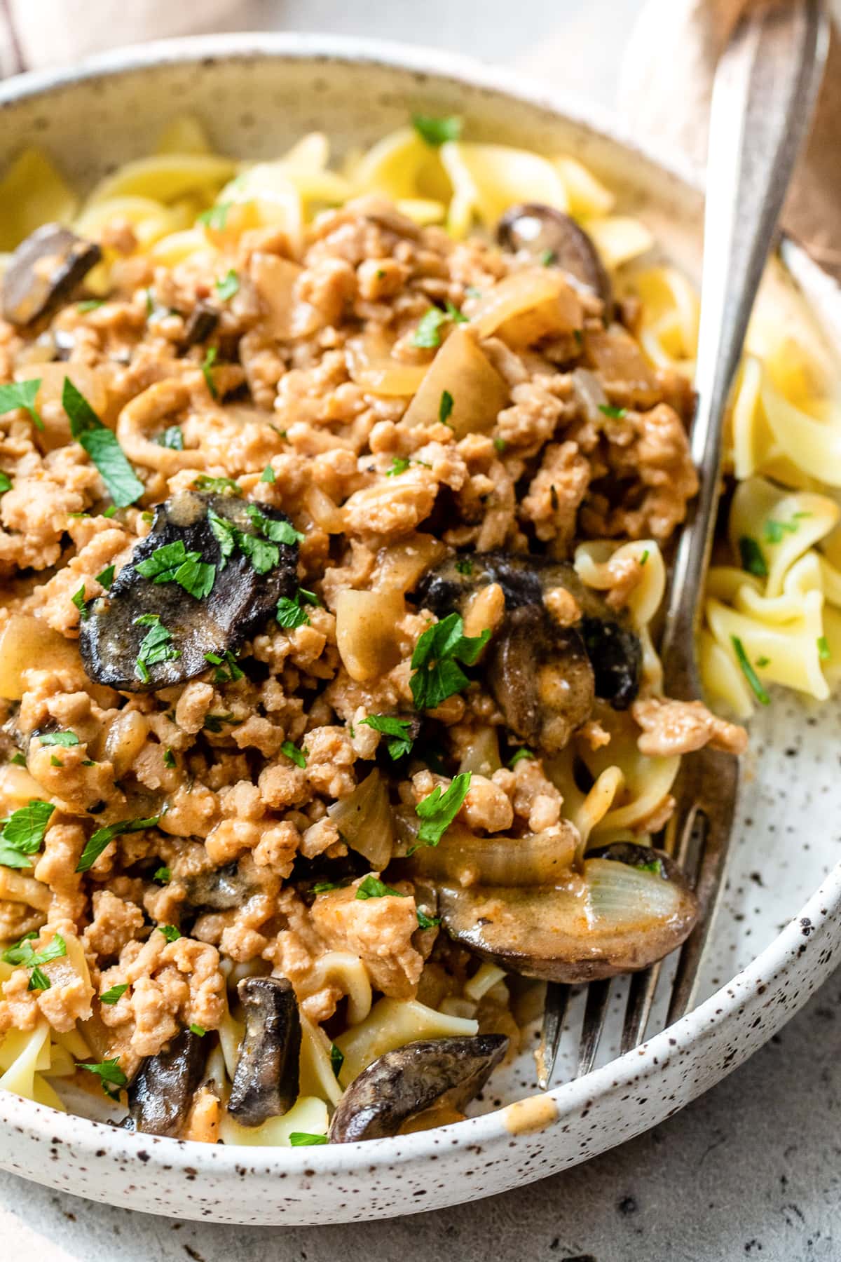 Rooster Stroganoff – Skinnytaste Rooster Stroganoff – Skinnytaste