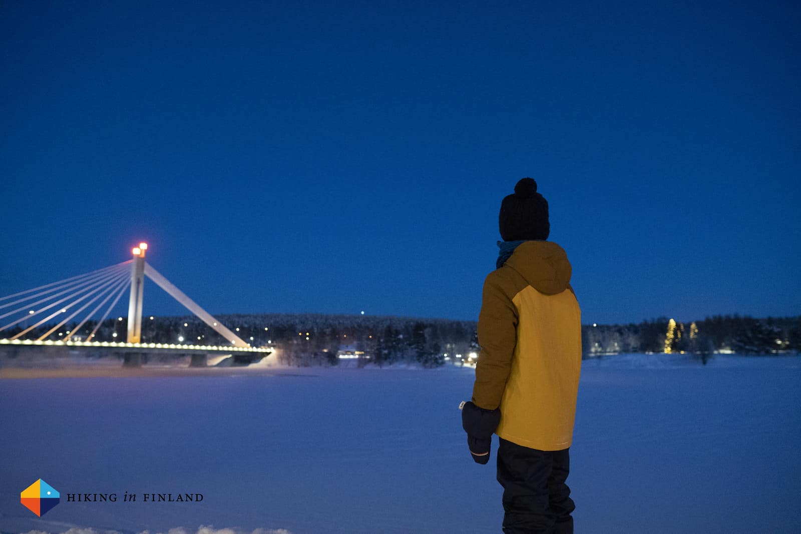 Uncover Rovaniemi: Gradual Journey within the Coronary heart of Finnish Lapland