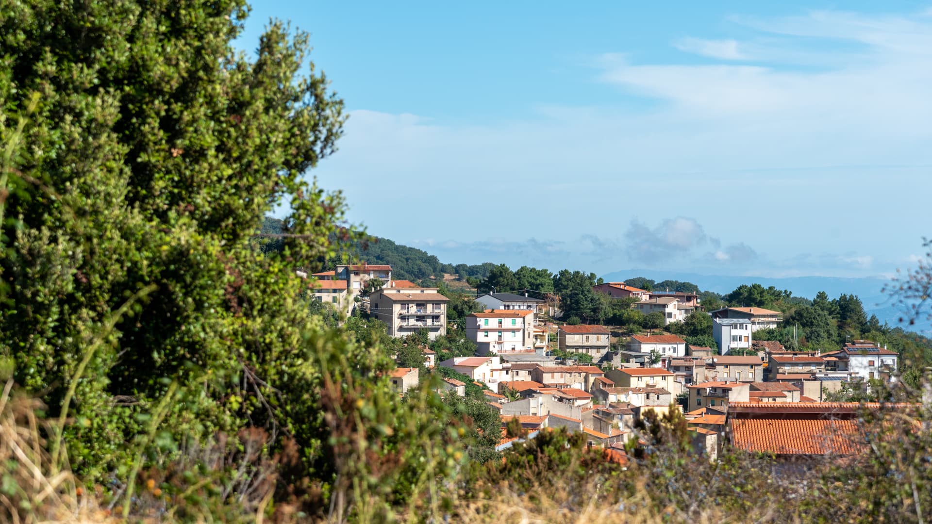 Digital nomads can reside without spending a dime in Sardinia — this is methods to apply