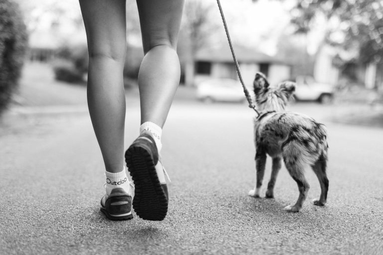 “With Every Stride, I’m Disproving the Narrative That I’m Not a Runner”—the Joys and Challenges of Working Whereas Plus-Measurement “With Every Stride, I’m Disproving the Narrative That I’m Not a Runner”—the Joys and Challenges of Working Whereas Plus-Measurement