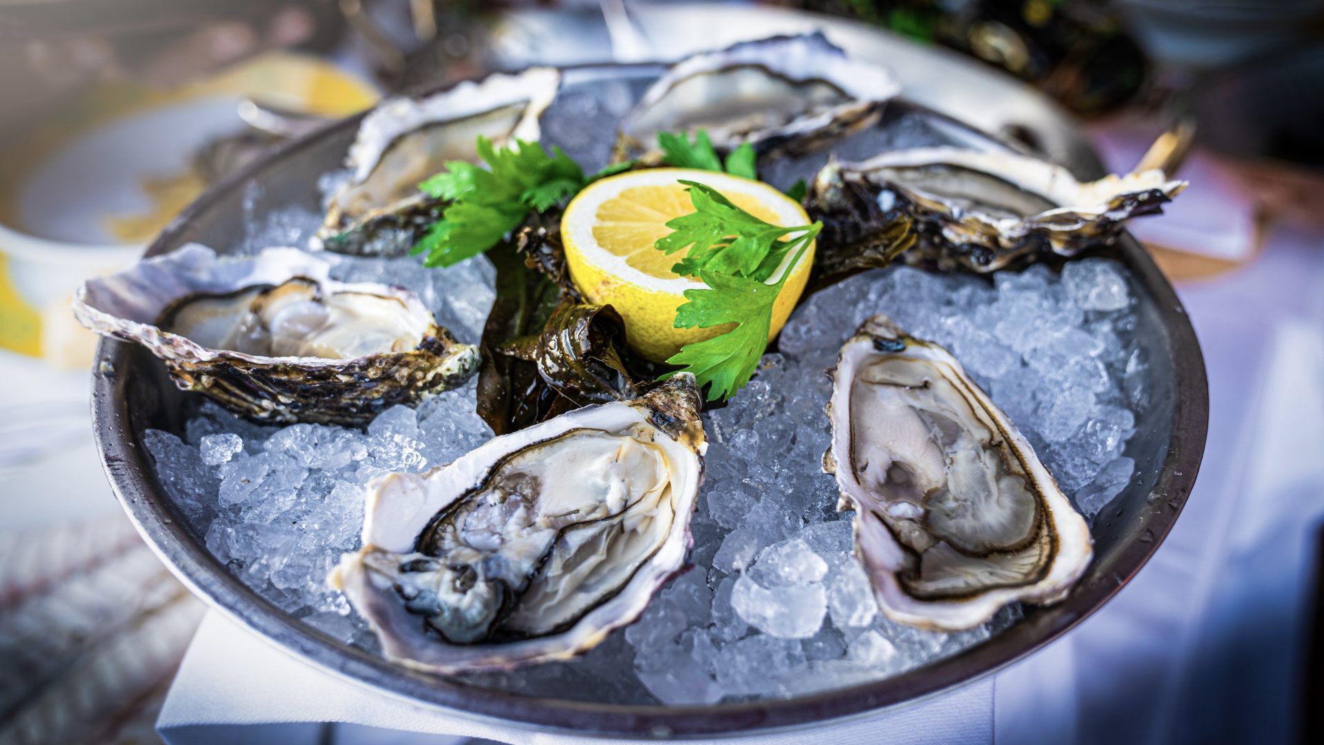 TX Grownup Dies Of Flesh-Consuming Micro organism After Consuming Uncooked Oysters