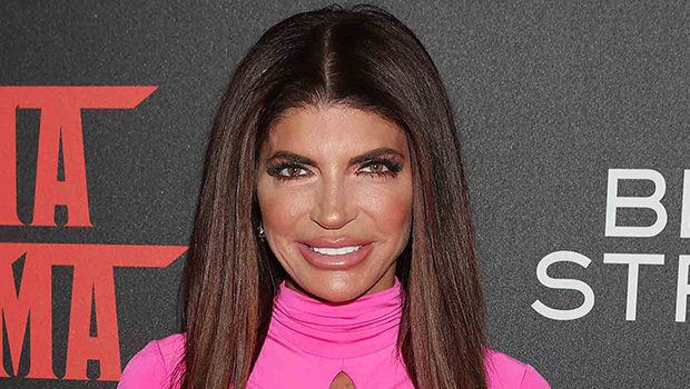 Teresa Giudice Celebrates Daughter Audriana’s Fourteenth Birthday – Hollywood Life