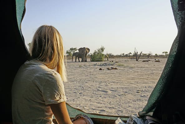 19 issues to know earlier than visiting Botswana