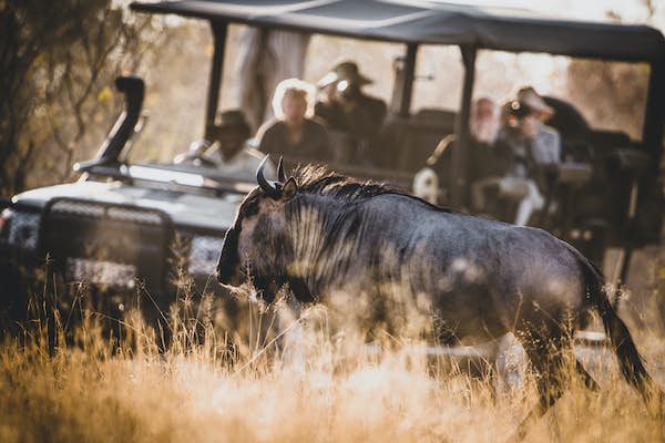 The 8 finest street journeys in Botswana The 8 finest street journeys in Botswana