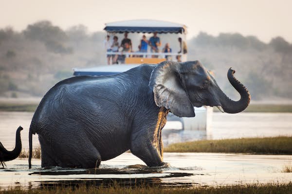 8 greatest locations to go to in Botswana 8 greatest locations to go to in Botswana