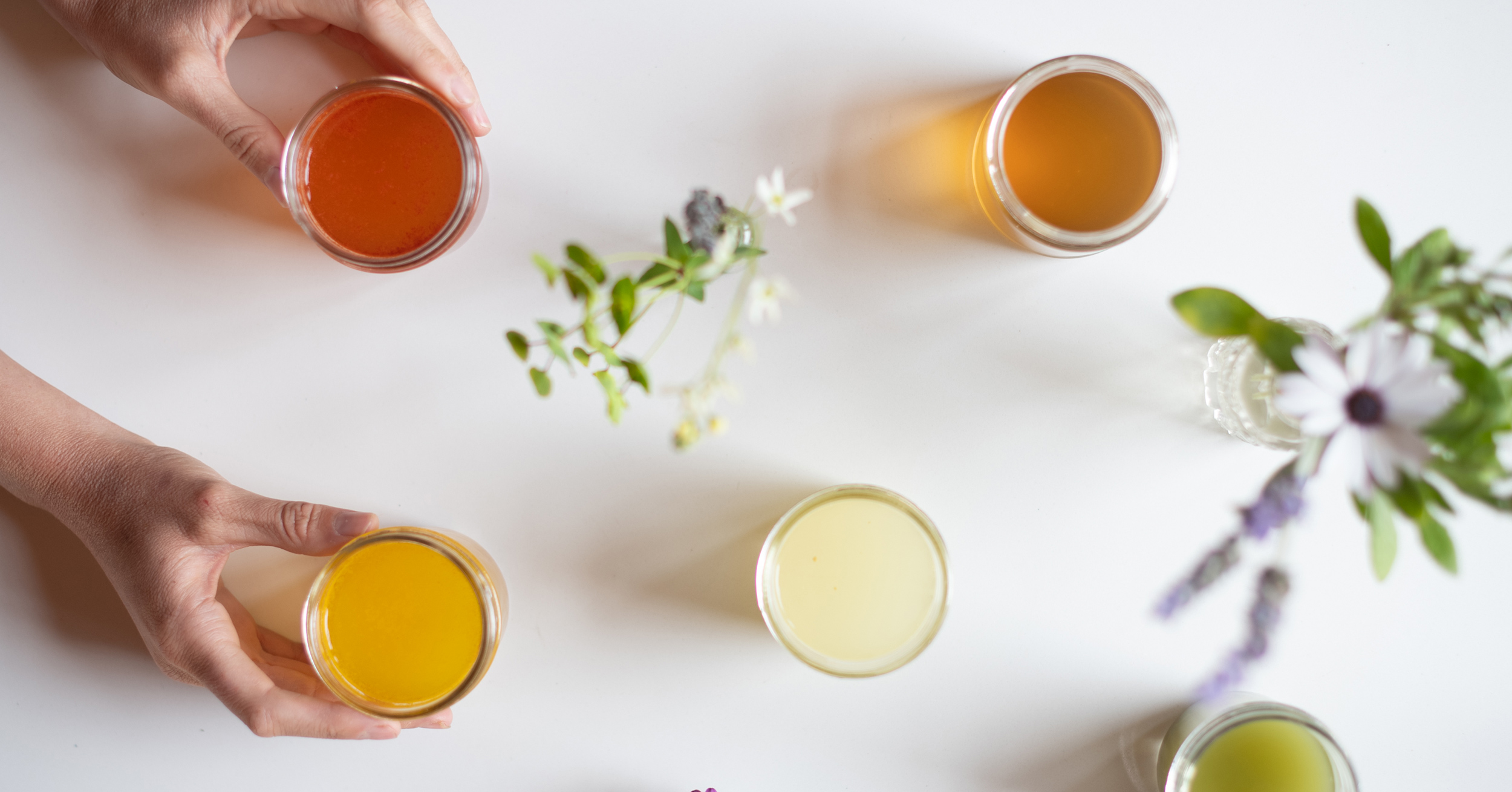 The Prime 8 Adaptogenic Herbs for Creating Peak Well being + Wellness