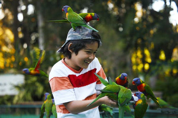 23 of one of the best issues to do in Australia