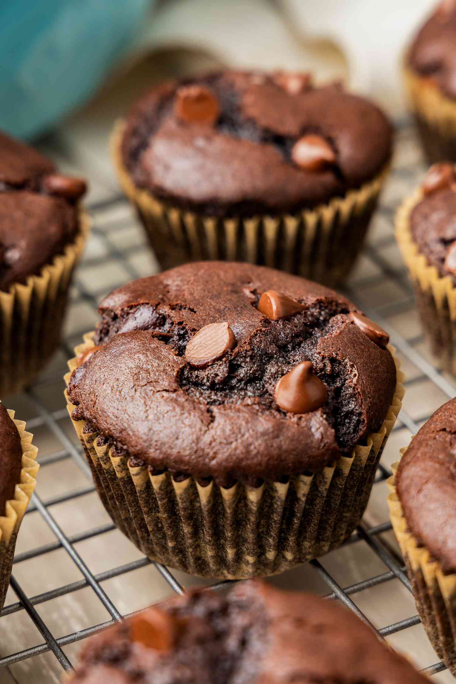 Double Chocolate Muffins Recipe