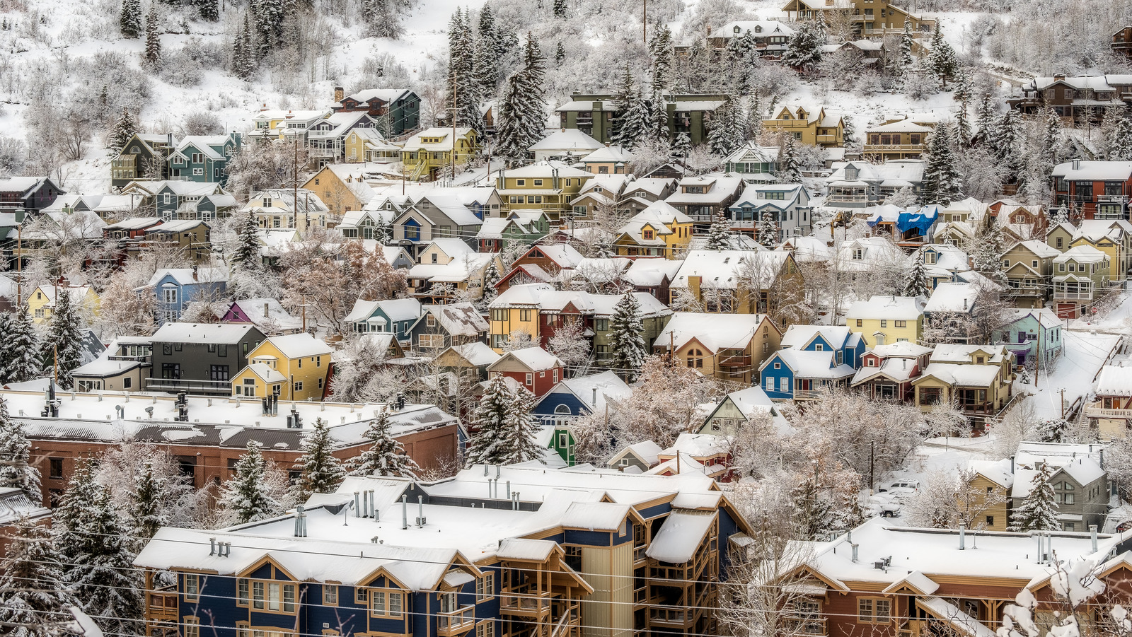 Take A Image-Good Winter {Couples} Journey To This Western US Vacation spot
