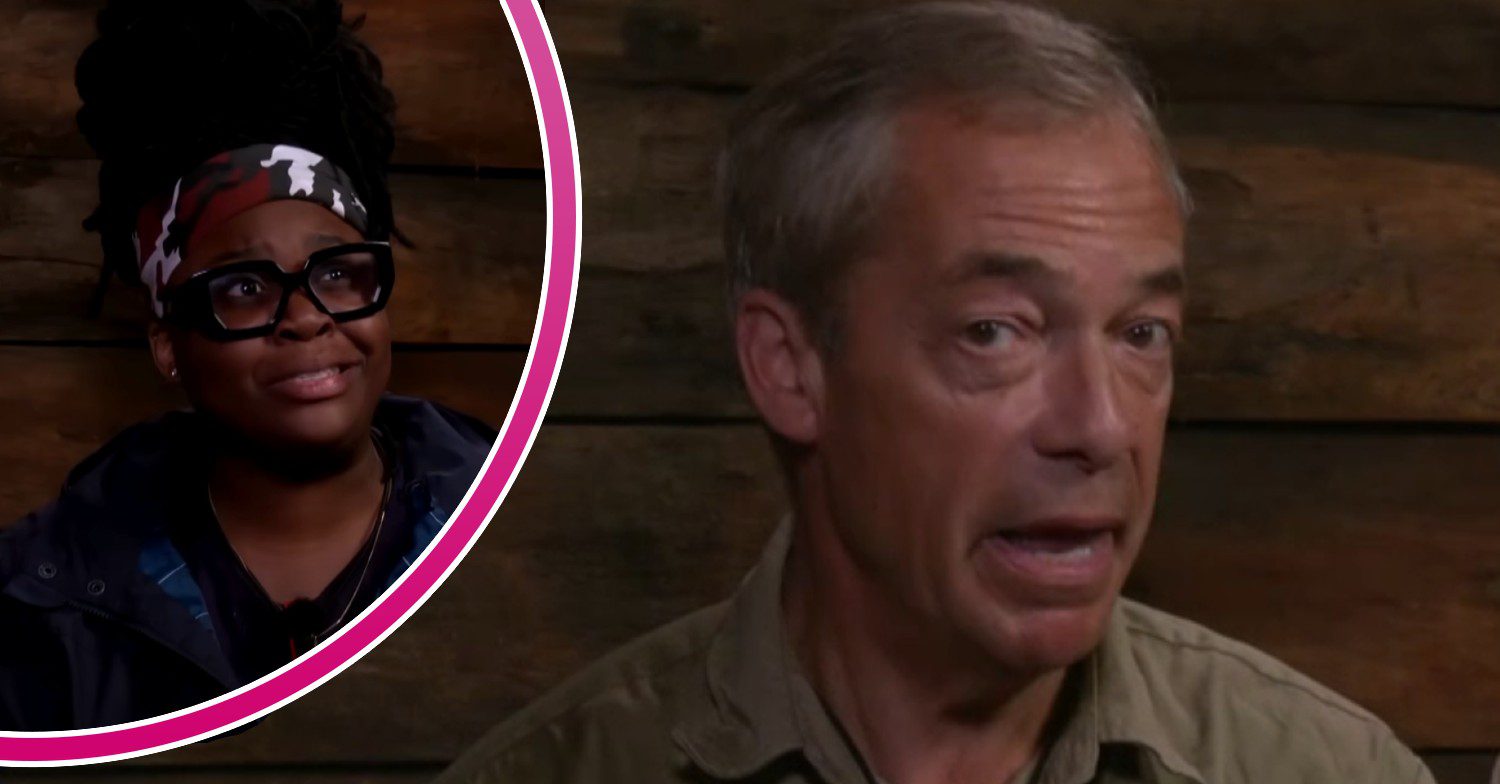 Nella and Nigel Farage underneath hearth from followers