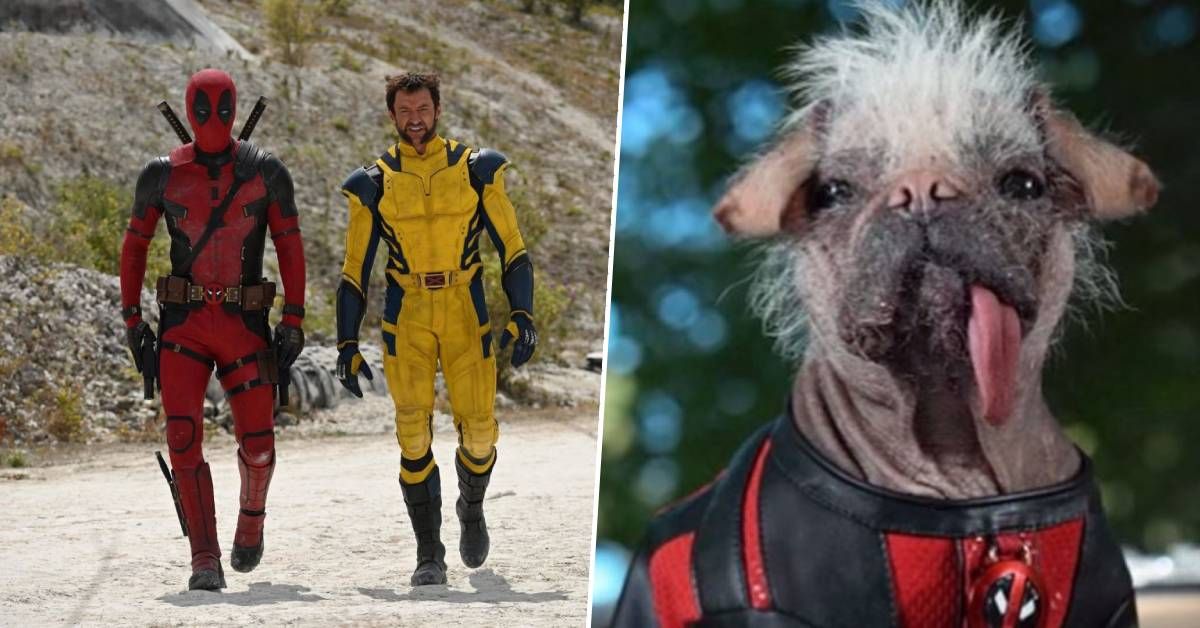 Ryan Reynolds pronounces Deadpool 3’s new launch window – by way of the medium of doggo