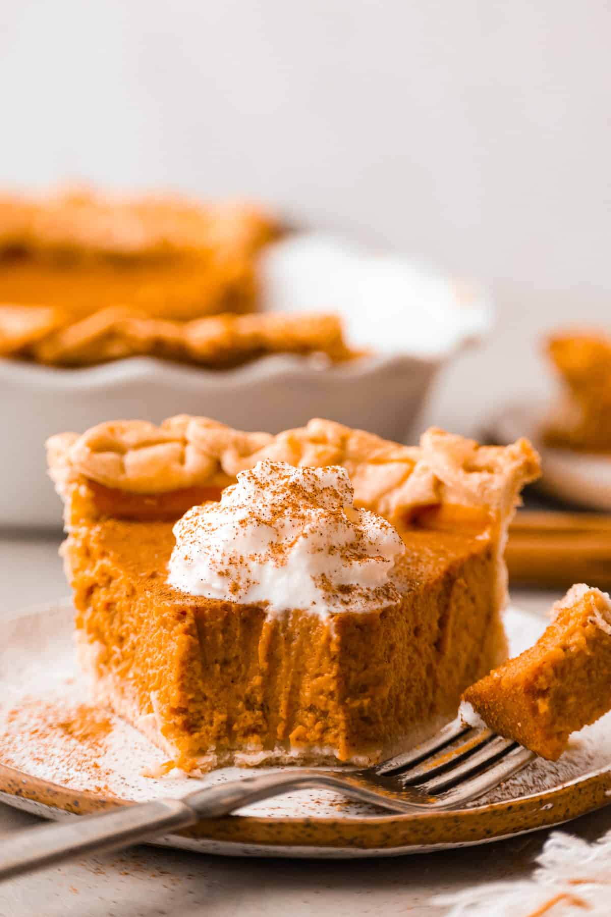 Grandma’s Well-known Pumpkin Pie Recipe