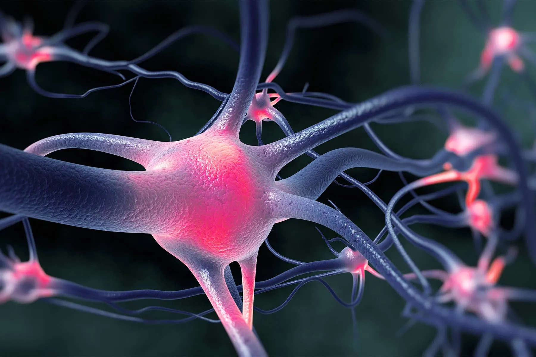 What Causes Weight problems? Extra Science Factors to the Mind