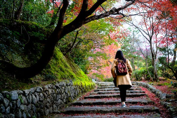 One of the best instances to go to Kyoto