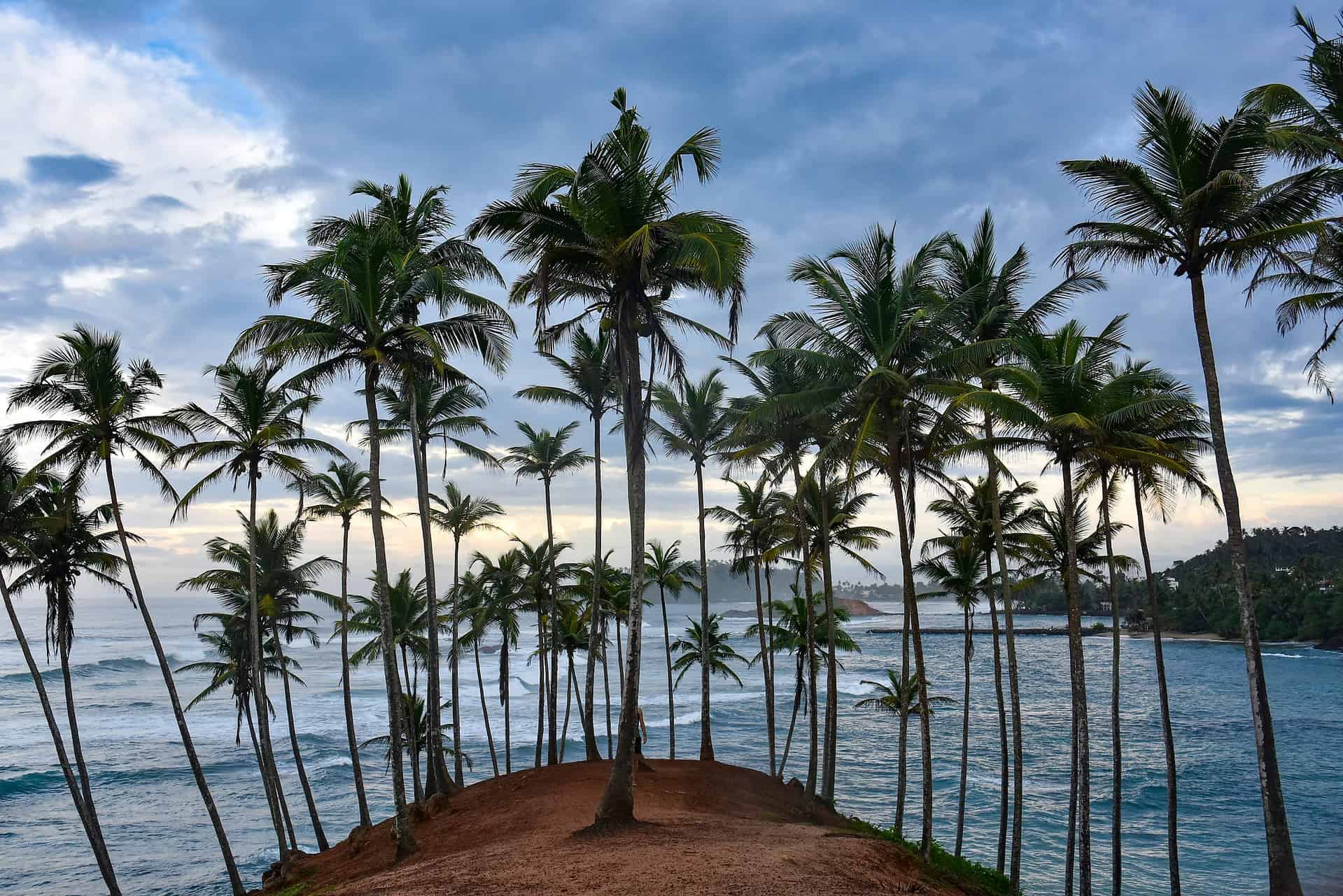 Ideas for Solo Feminine Journey in Sri Lanka