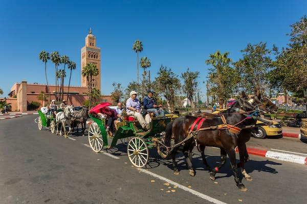 Getting round in Marrakesh – Lonely Planet Getting round in Marrakesh – Lonely Planet
