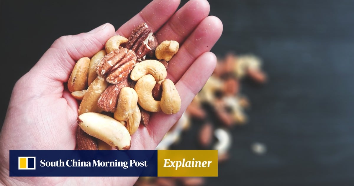 Why seeds and nuts are good for us,  eat them, and 5 of one of the best for weight reduction, coronary heart well being and extra, based on an knowledgeable