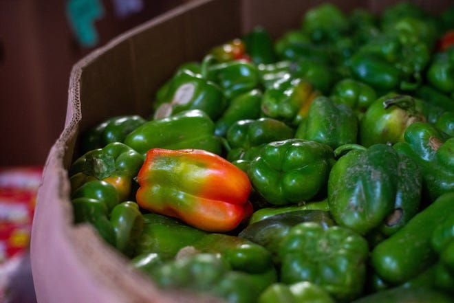 Are bell peppers good for you? Purple vs. inexperienced vitamin advantages. Are bell peppers good for you? Purple vs. inexperienced vitamin advantages.
