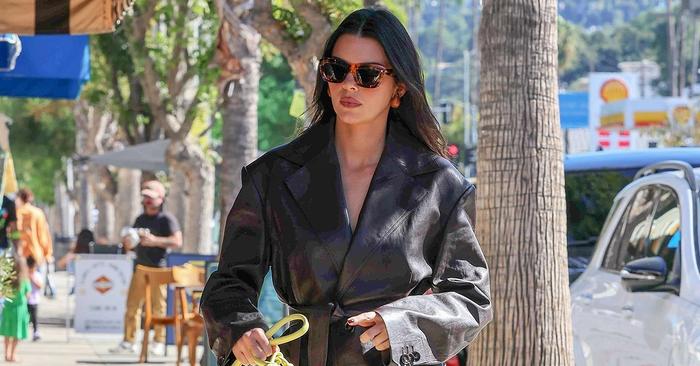 9 Designer It Baggage Celebrities Are Sporting