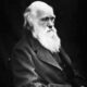 Charles Darwin: Affect and Impression