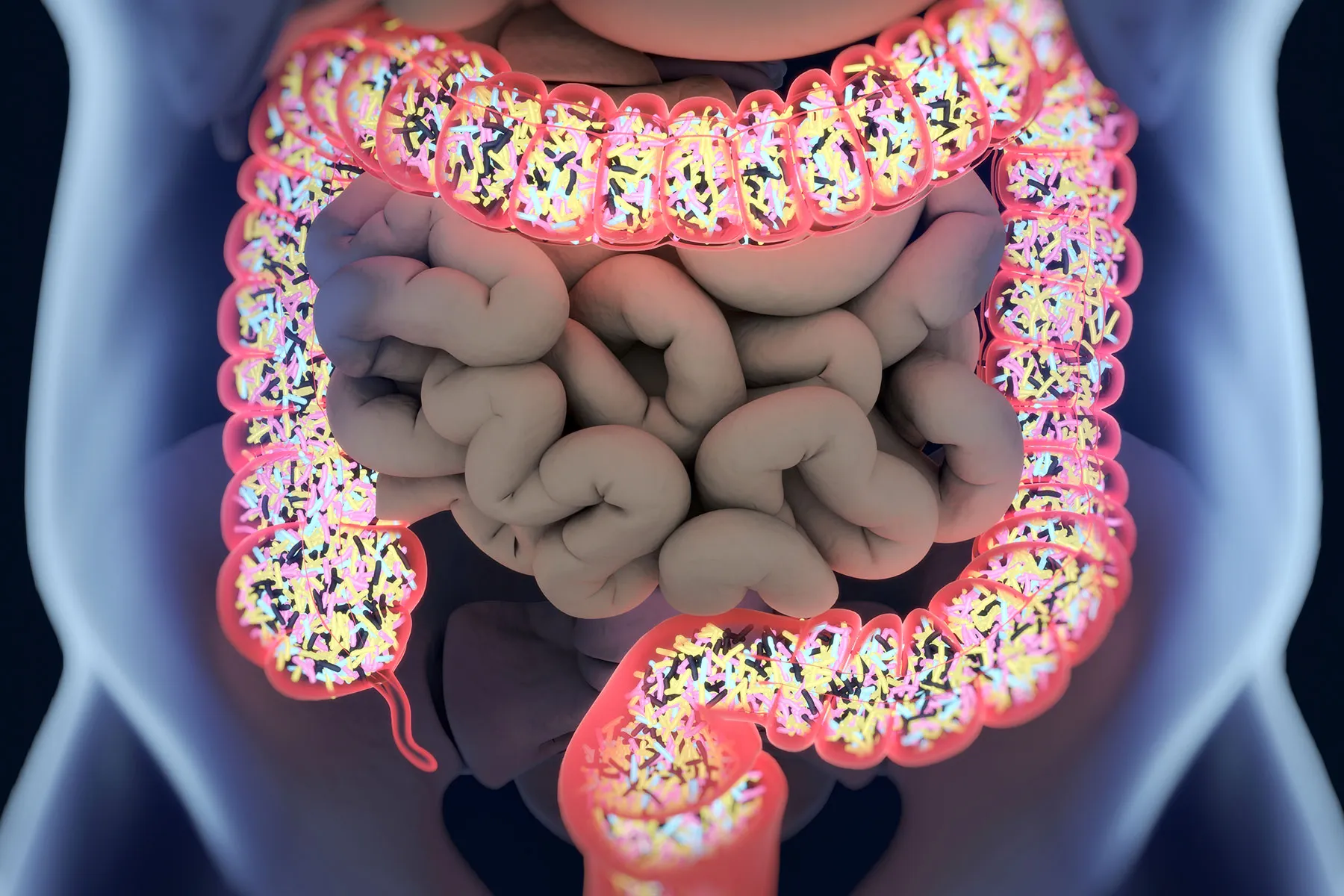 Specializing in Intestine Well being Can Assist Weight Loss