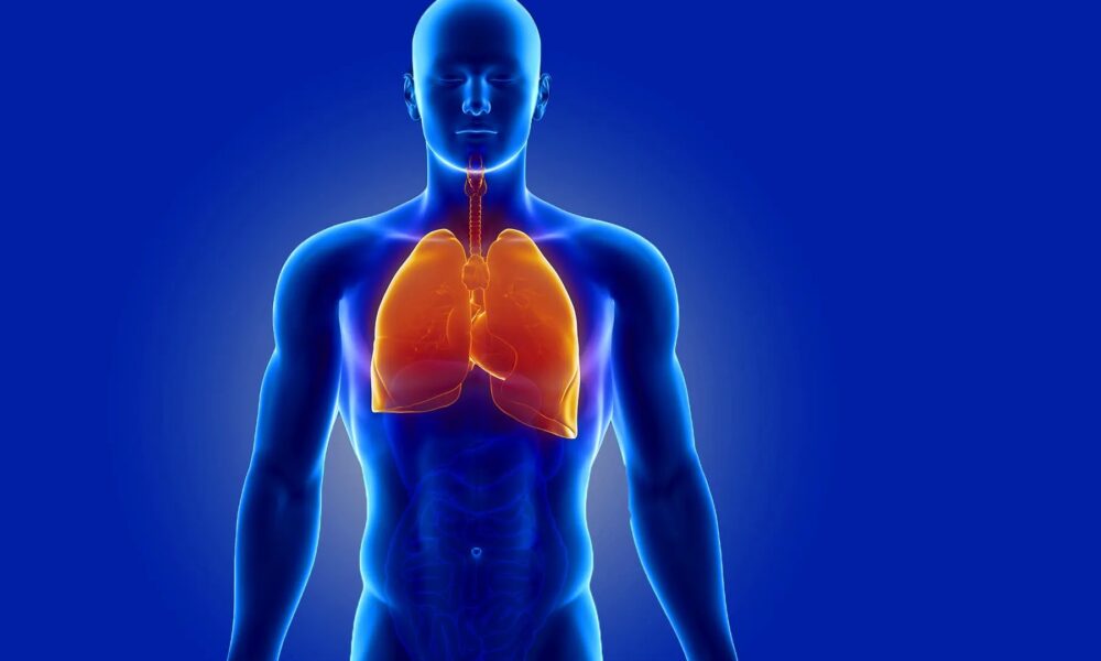 Lung Detox: Does It Actually Work?