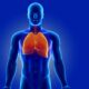 Lung Detox: Does It Actually Work?